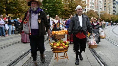 Ofrenda Frutos Zaragoza